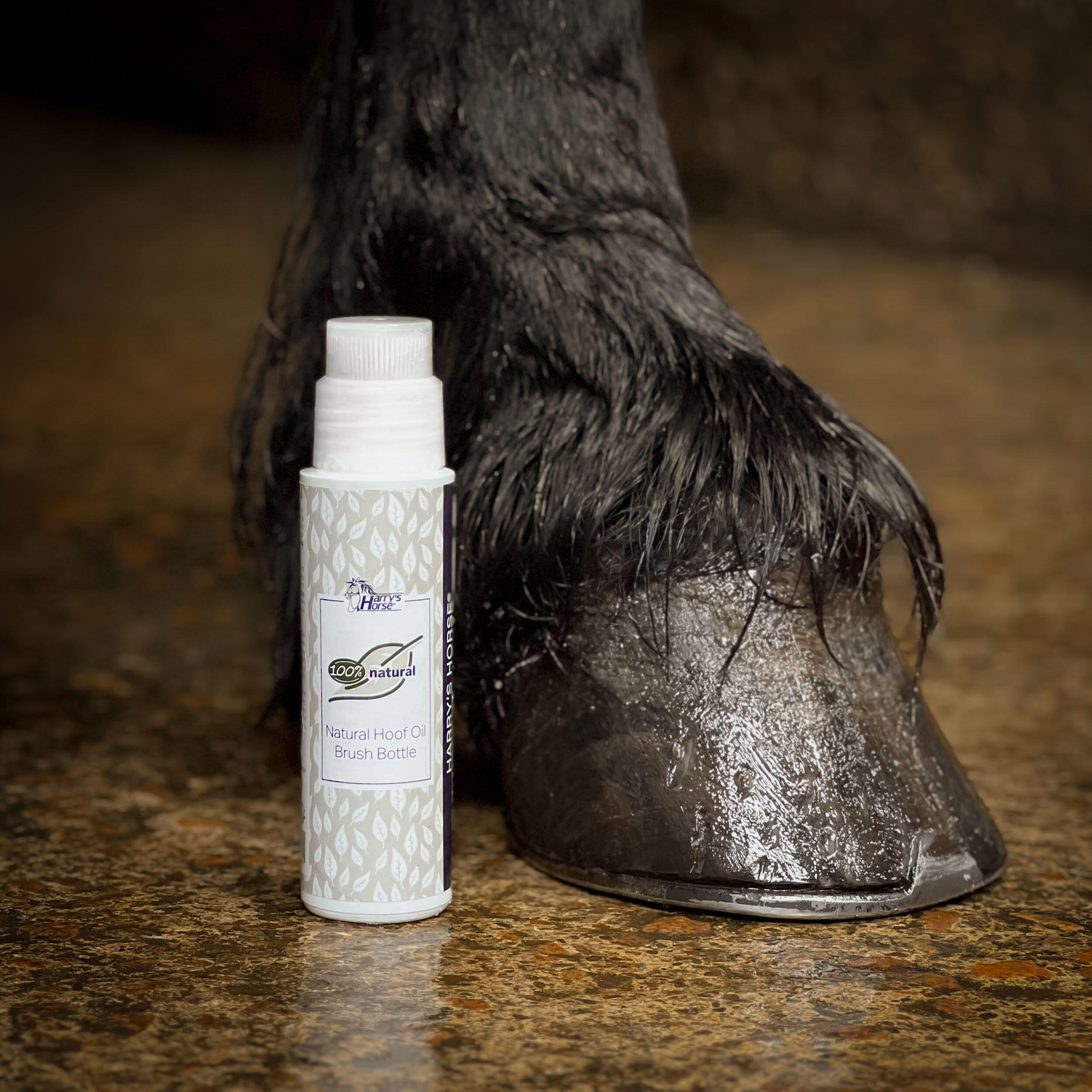 Olio per zoccoli di cavallo Harry's Horse Natural Brush 3/3