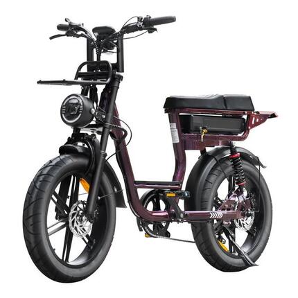 V20 pro Comfort dames bike – Zomeractie GRATIS rijklaar thuis geleverd