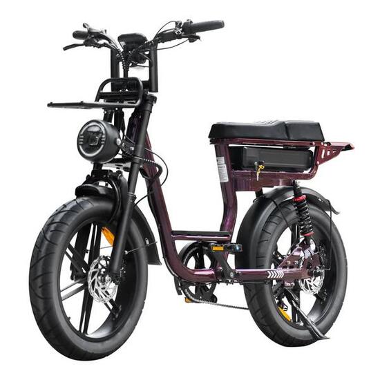 V20 pro Comfort dames bike – Zomeractie GRATIS rijklaar thuis geleverd