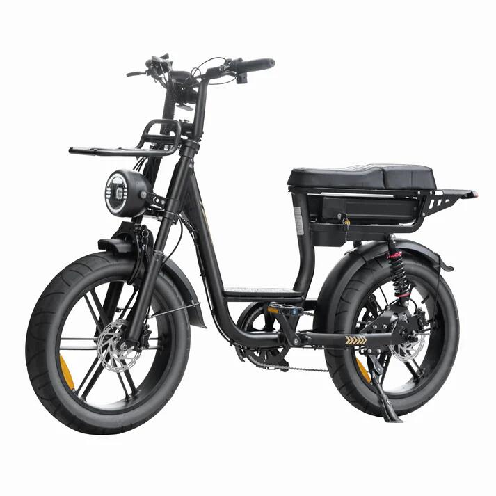 V20 pro Comfort met Hydraulische Remmen 250Watt motorvermogen 3/3