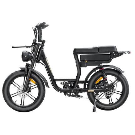 V20 pro Comfort met Hydraulische Remmen 250Watt motorvermogen