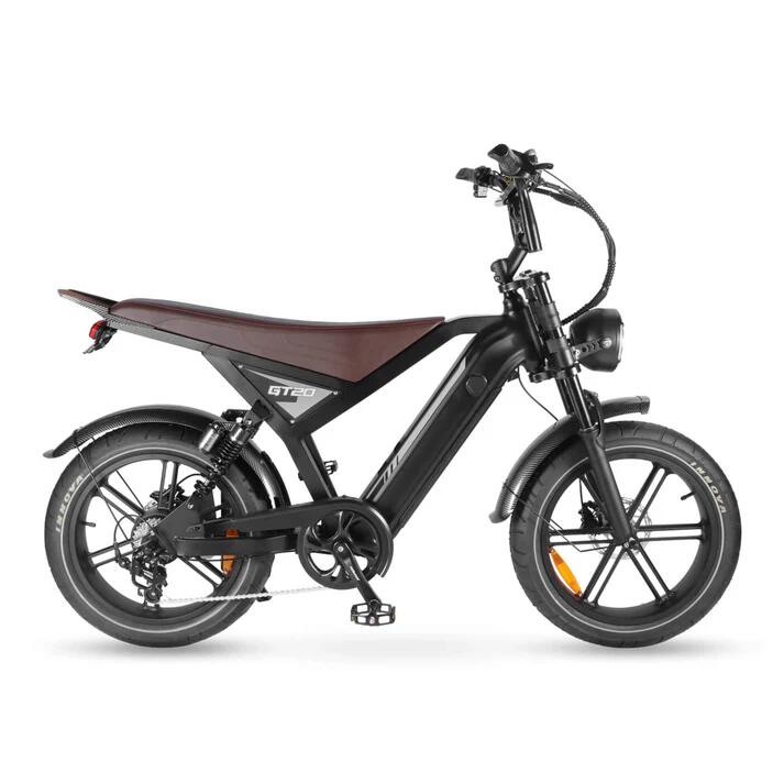 GT20 2026 Edition E-bike, Hydraulische Remmen, 250Watt motorvermogen 4/4