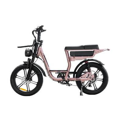 V20 pro comfort met hydraulische remmen 250watt motorvermogen