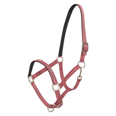 Nylon halster voor het paard hv polo nena