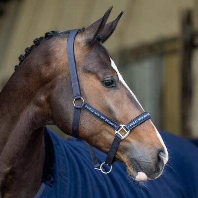 Nylon halster voor het paard hv polo nena