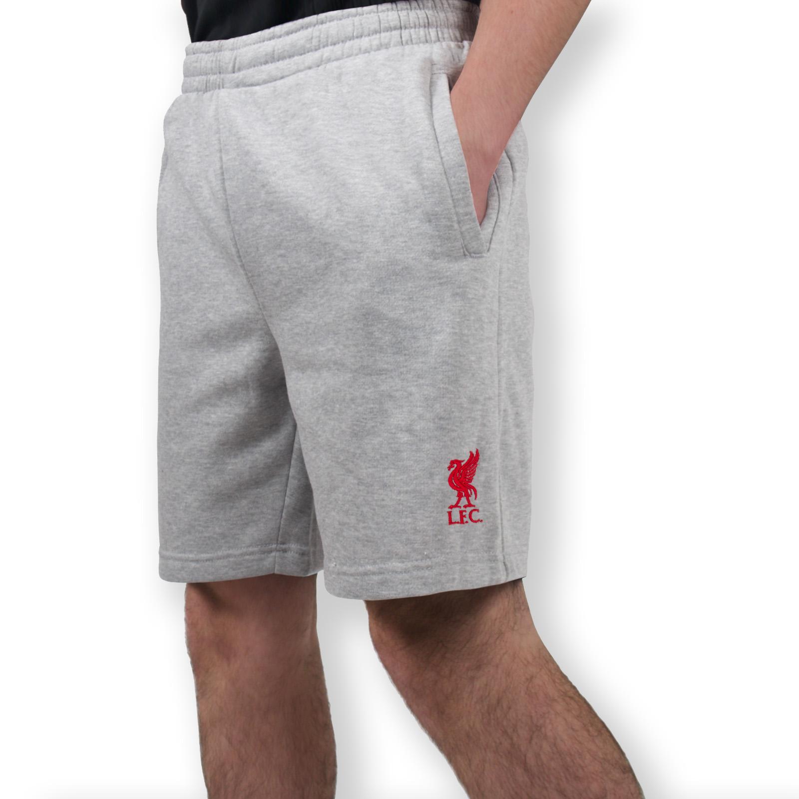 Shorts für Herren Grau 3/4