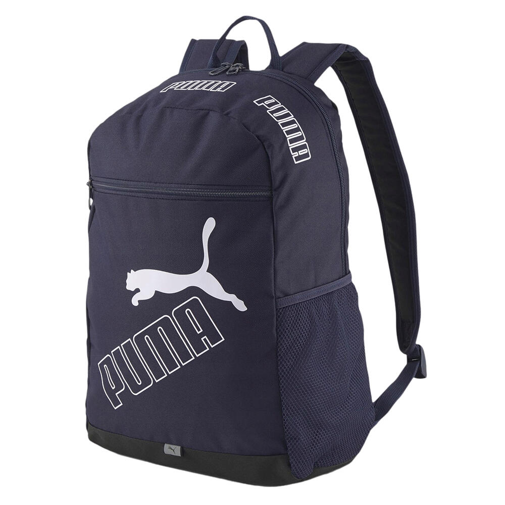 PUMA picture