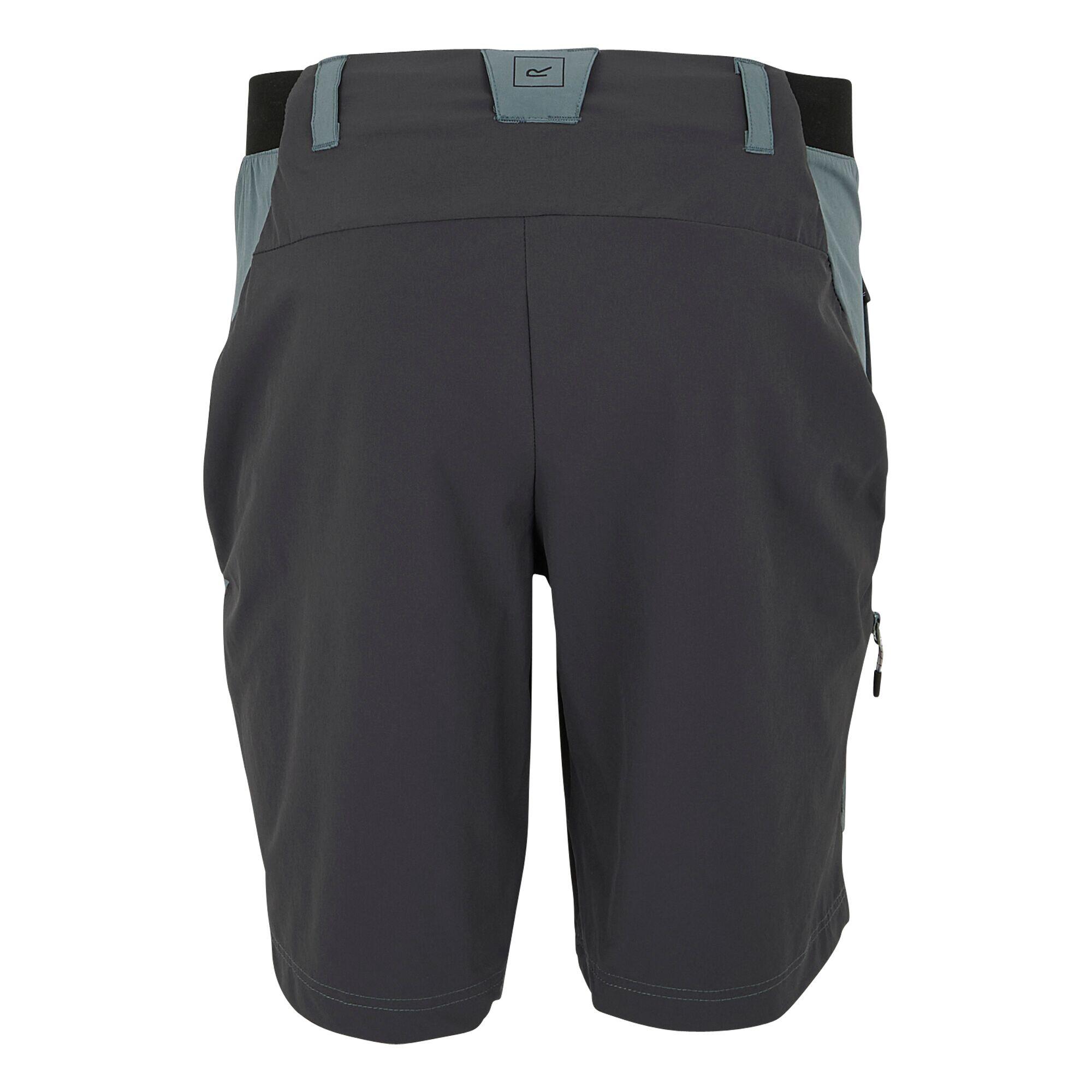 "Eldes" Shorts für Wandern Herren Sturmwetter/Asche 2/5