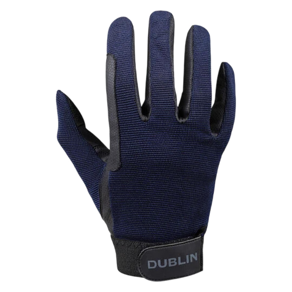 DUBLIN picture