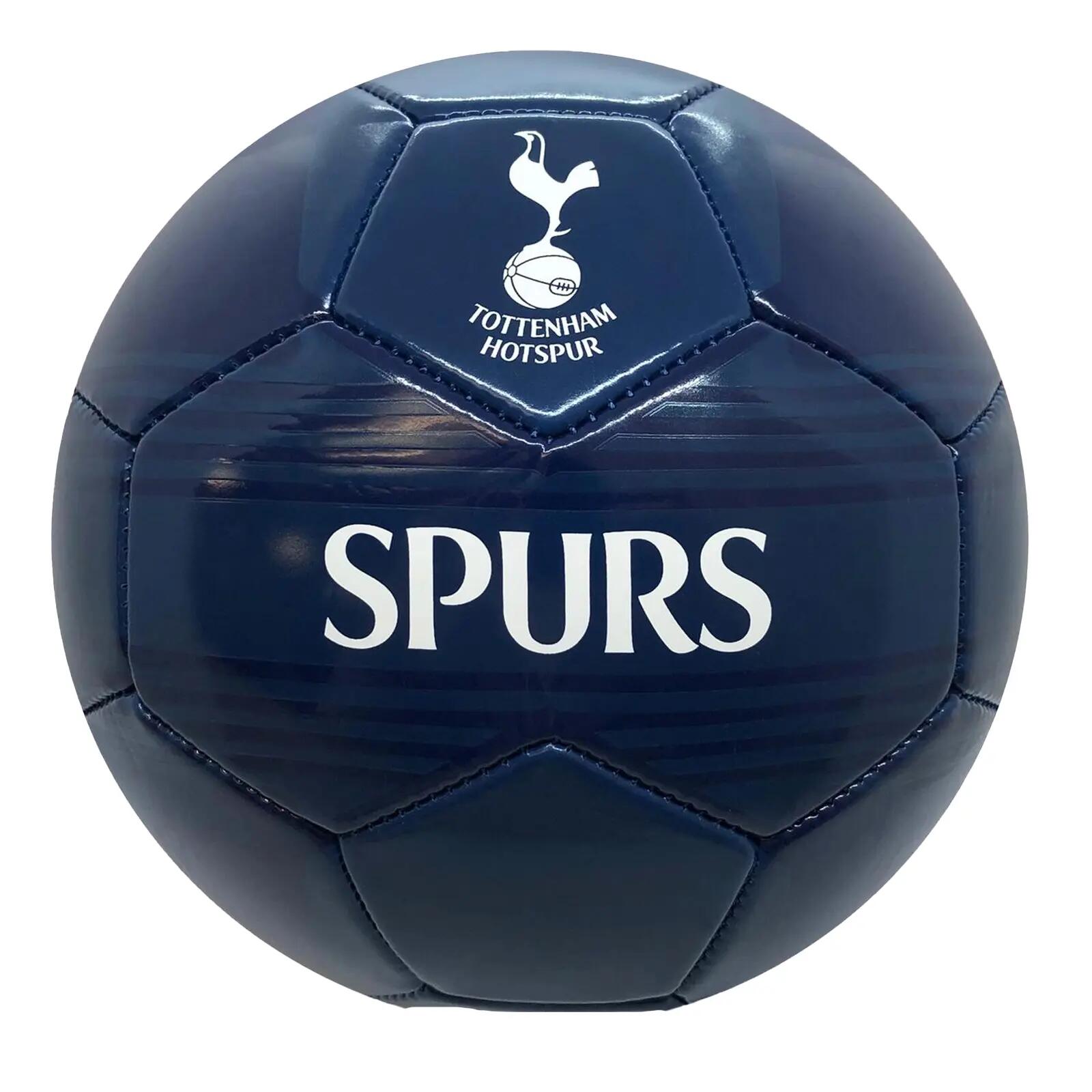 TOTTENHAM HOTSPUR picture