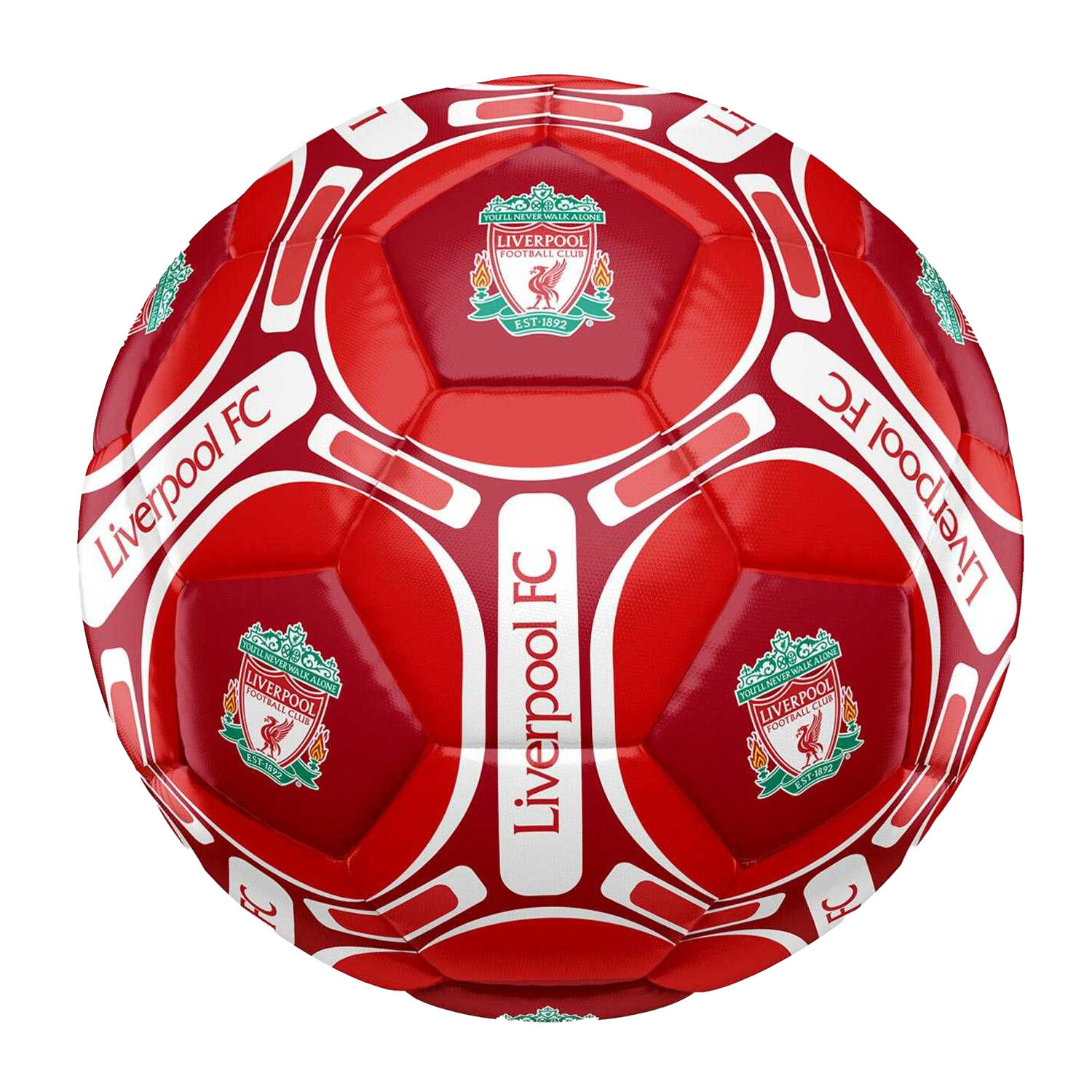 LIVERPOOL FC picture