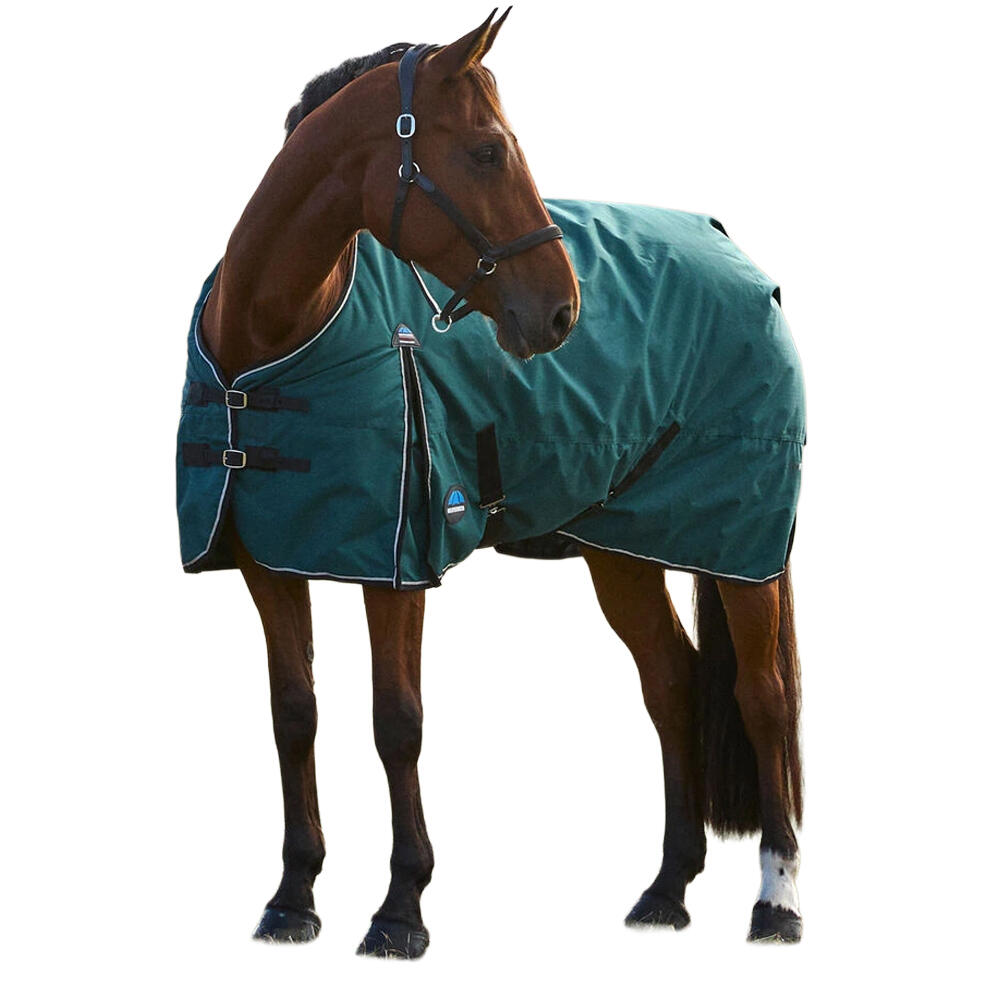 Comfitec Classic Combo Neck 50g Horse Turnout Rug (Forest Green/Black) 3/3