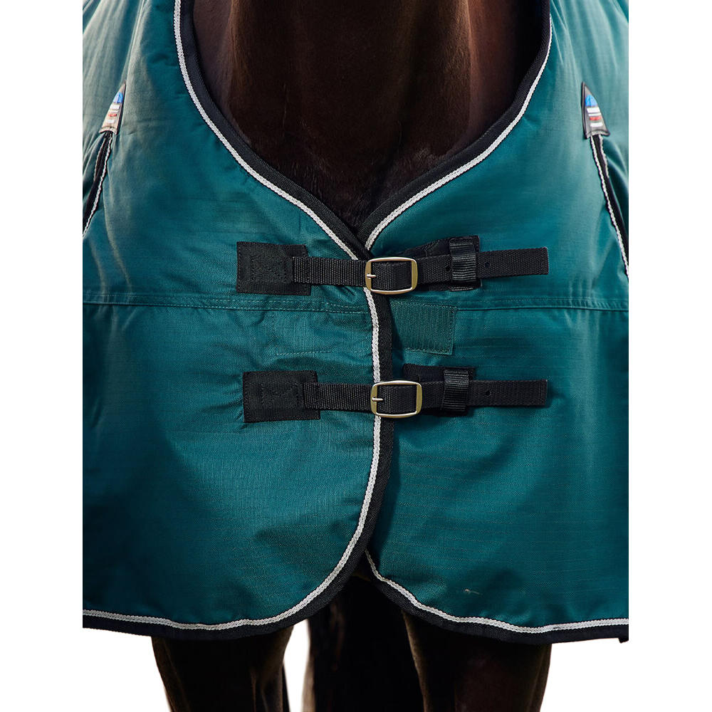 Comfitec Classic Combo Neck 50g Horse Turnout Rug (Forest Green/Black) 2/3