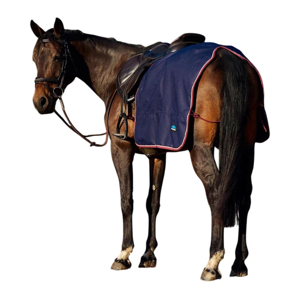 Cavallo Quartiere Scheda Weatherbeeta Essential Blu Navy Borgogna 2/3