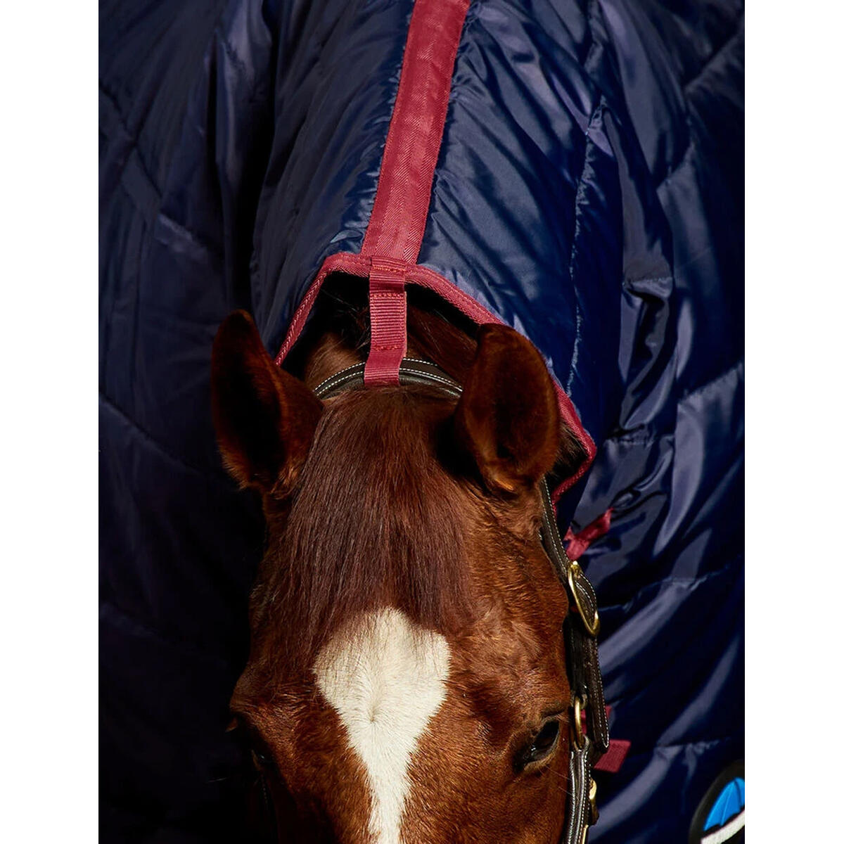 Couverture De Box Et Couvrecou Pour Cheval (Bleu Marine / Bordeaux) 2/4