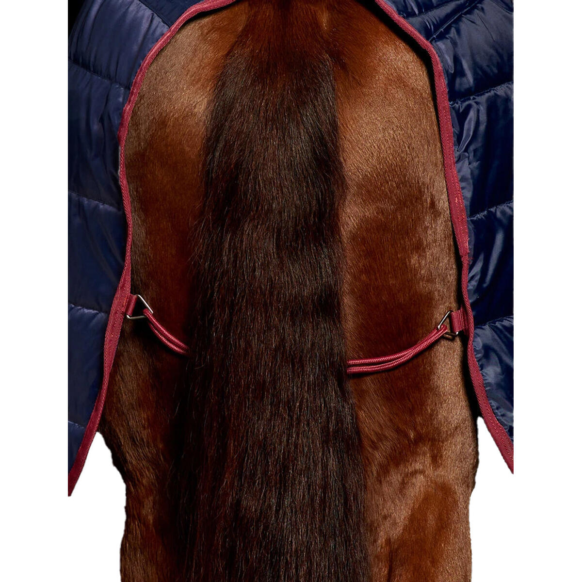 Couverture De Box Et Couvrecou Pour Cheval (Bleu Marine / Bordeaux) 4/4