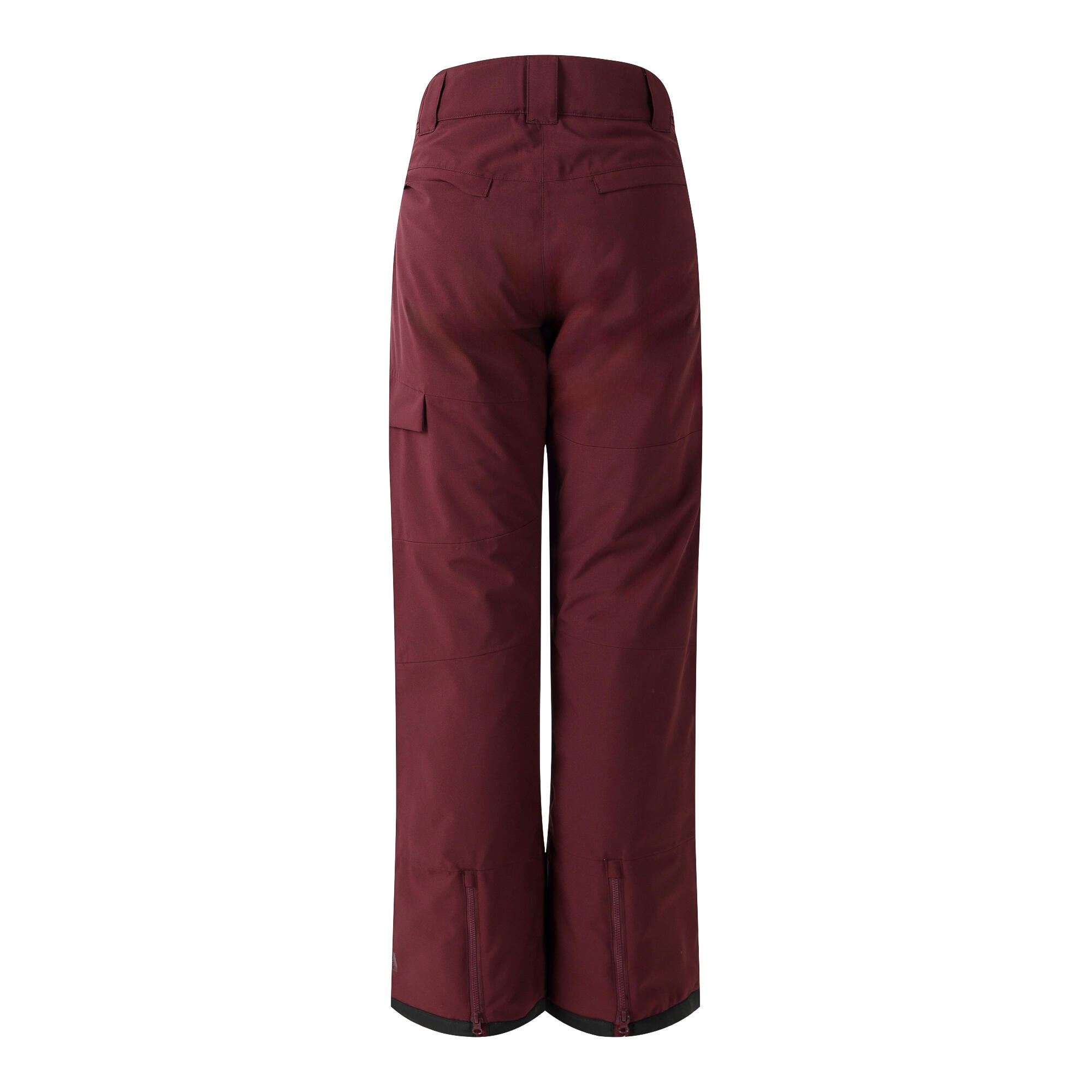 Pantalon De Ski ICE Femme (Figue) 2/5