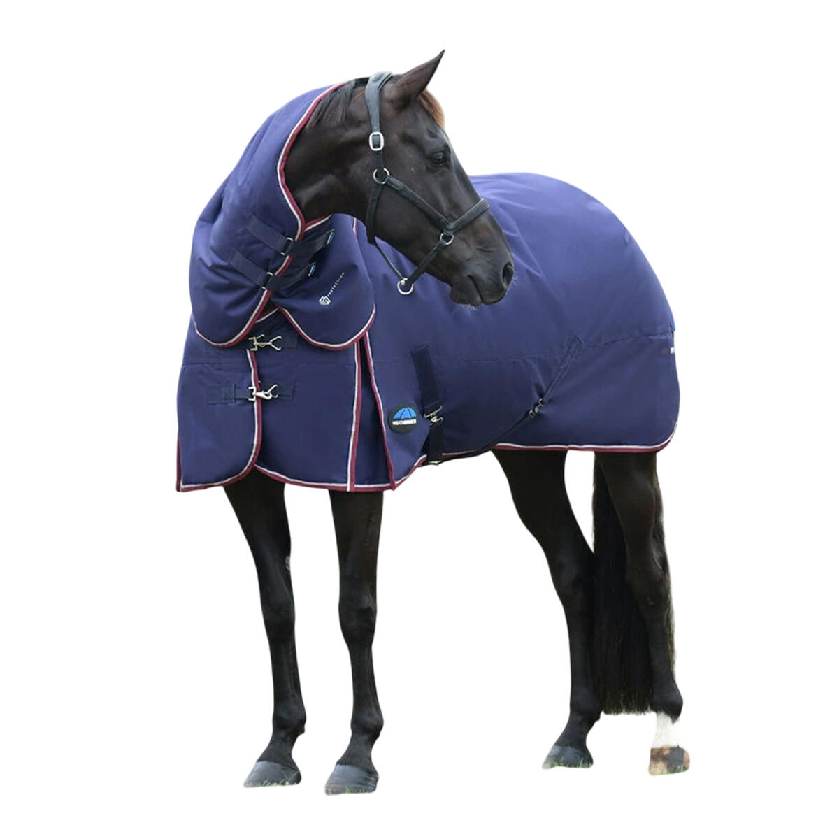 Couverture D´extérieur Pour Chevaux COMFITEC ESSENTIAL (Bleu Marine / Bordeaux) 2/3