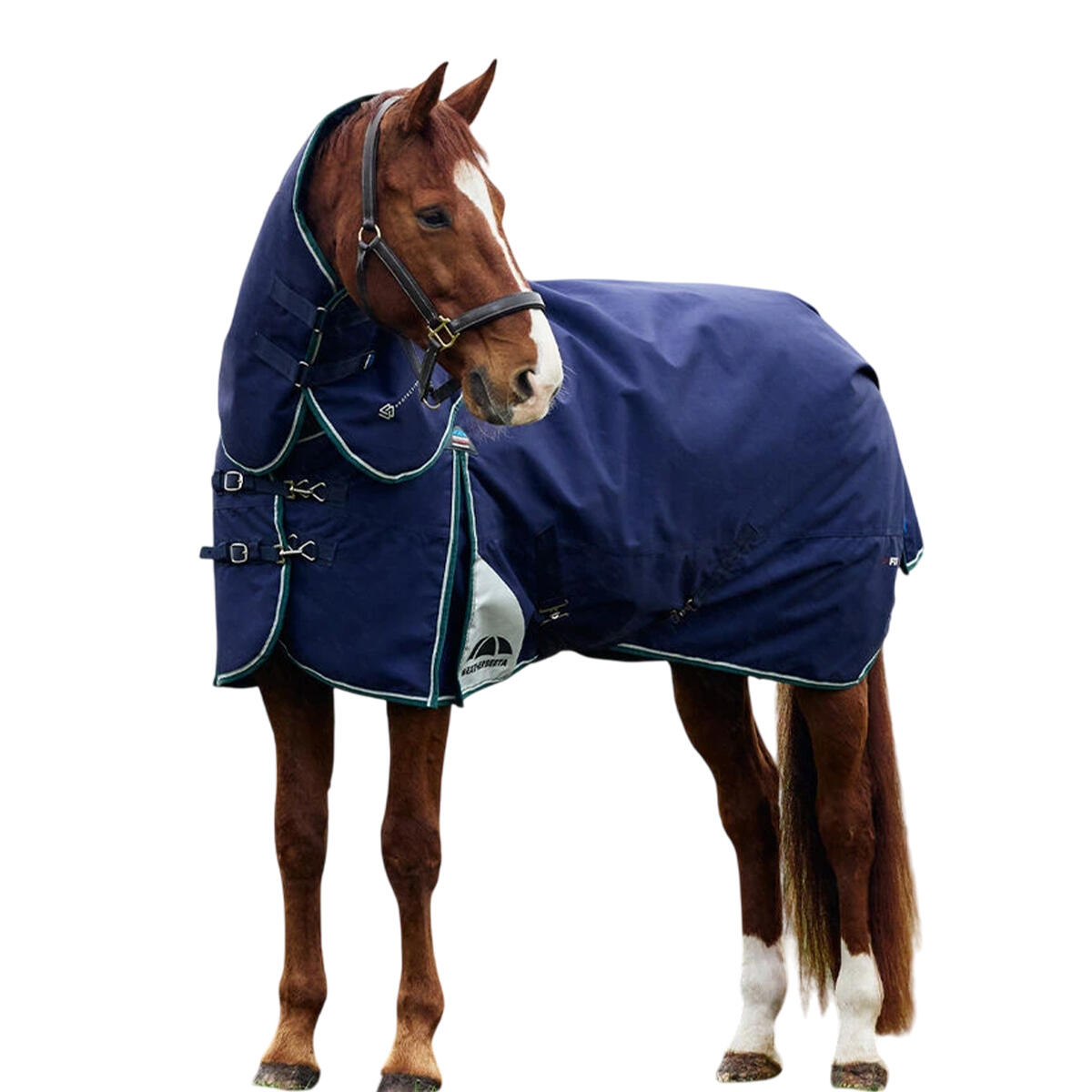 Comfitec Plus Dynamic Detachable Neck Logo 100g Horse Turnout Rug (Navy/Forest 2/3