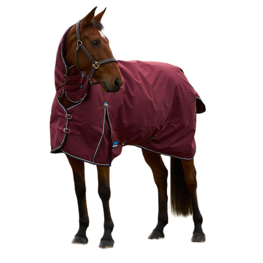 Comfitec Prelim Combo Neck Horse Turnout Rug (Burgundy/Navy) 3/3