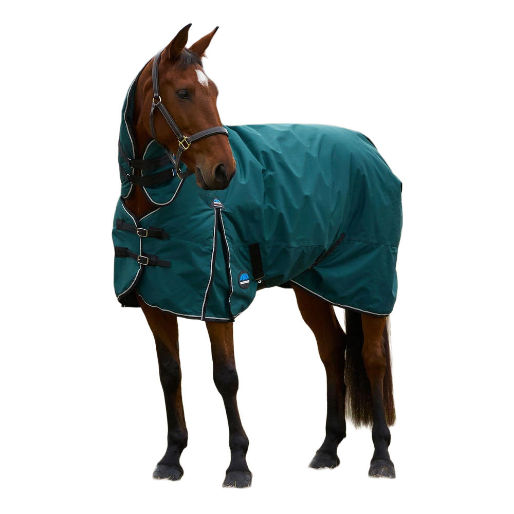 Comfitec Classic Combo Neck 220g Horse Turnout Rug (Forest Green/Black) 3/3