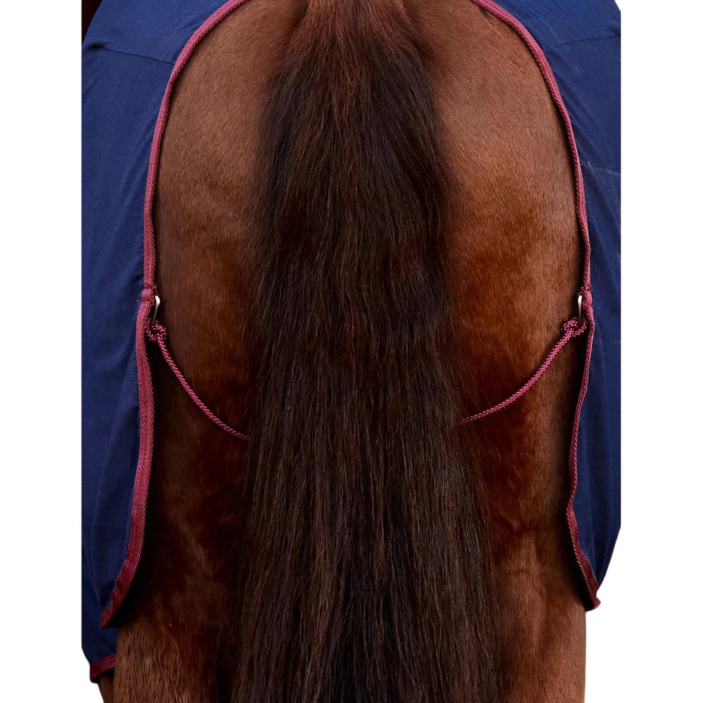 StandardNeck Horse Exercise Sheet (Navy/Burgundy) 3/4