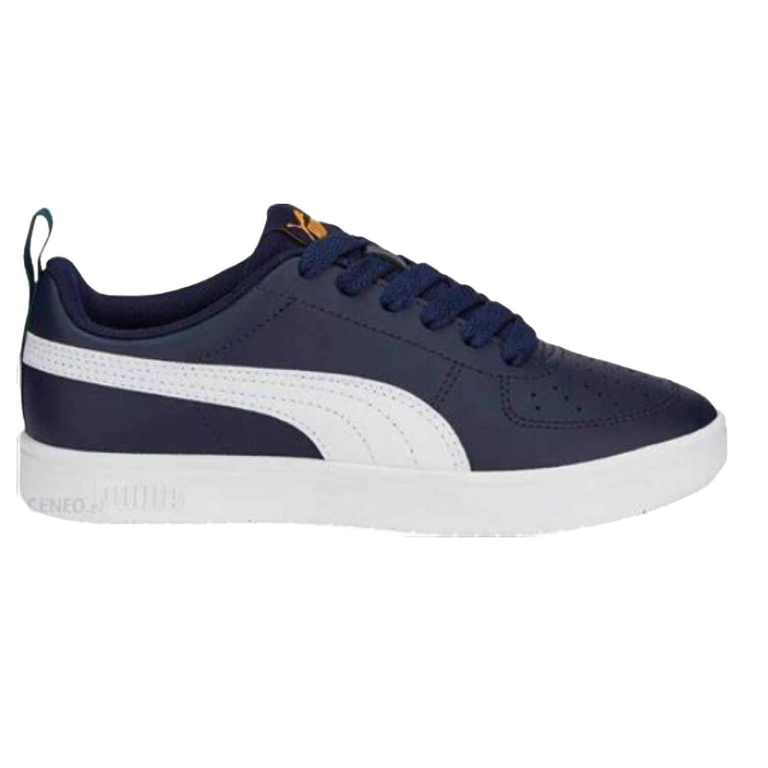 PUMA picture