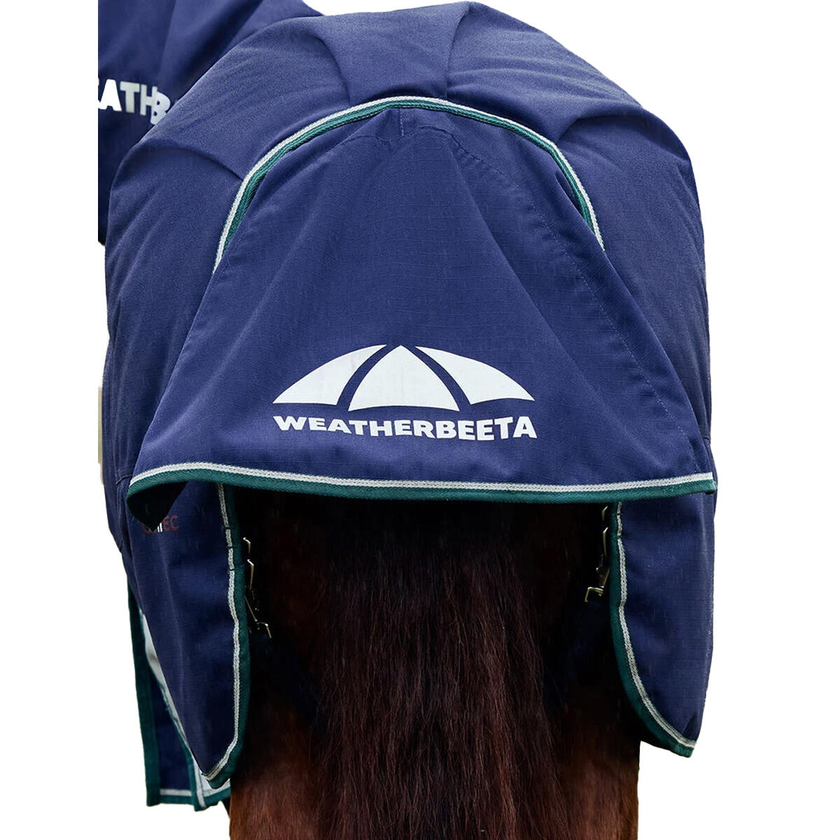 Comfitec Plus Dynamic HighNeck 100g Horse Turnout Rug (Navy/Forest Green) 2/4