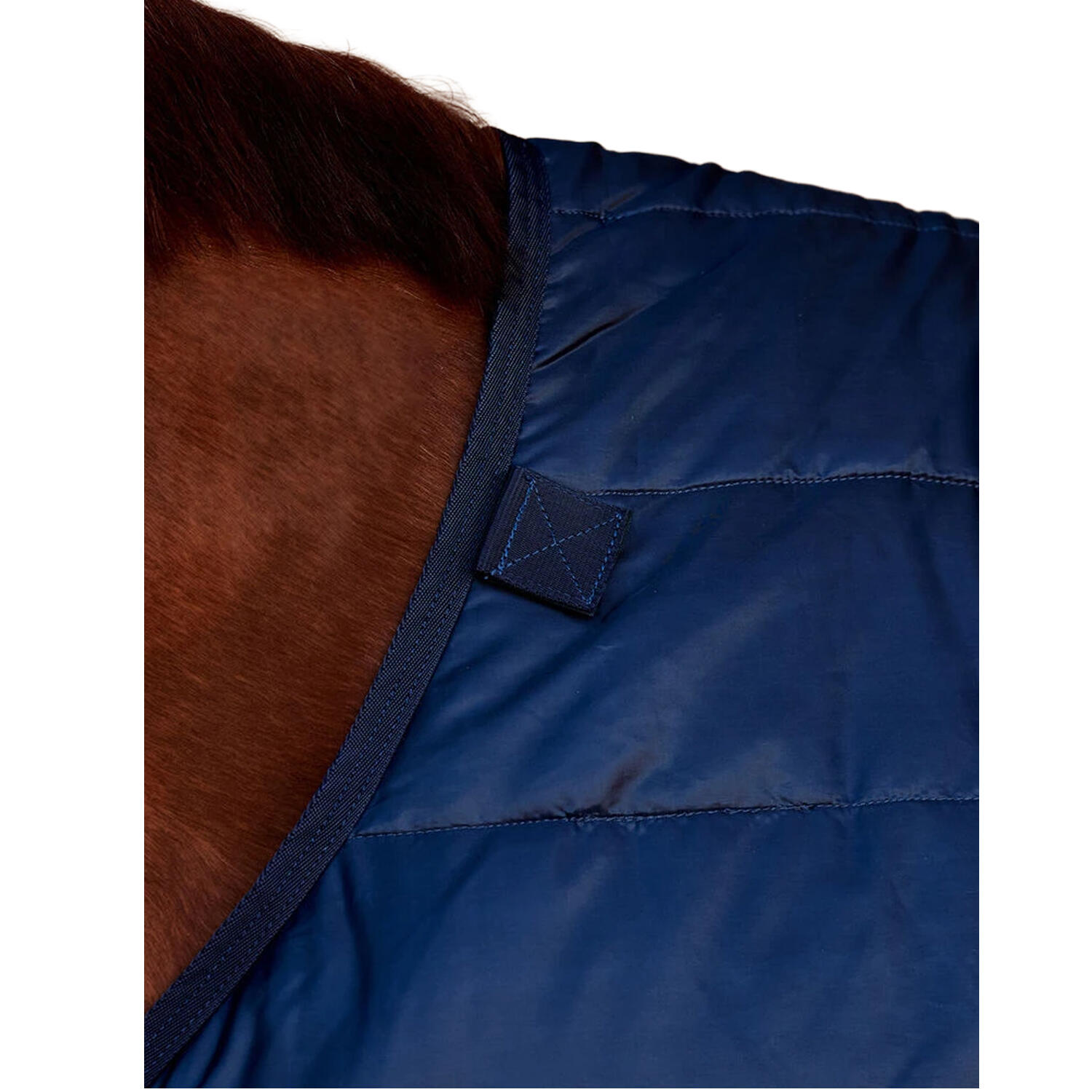 Collo Standard Fodera Coperta Per Cavalli Weatherbeeta Comfitec Blu Navy 3/3