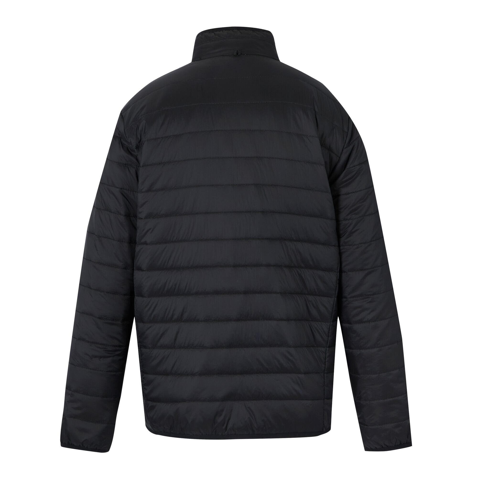 Veste 3en1 WENTWOOD Homme (Marron / Noir) 4/5