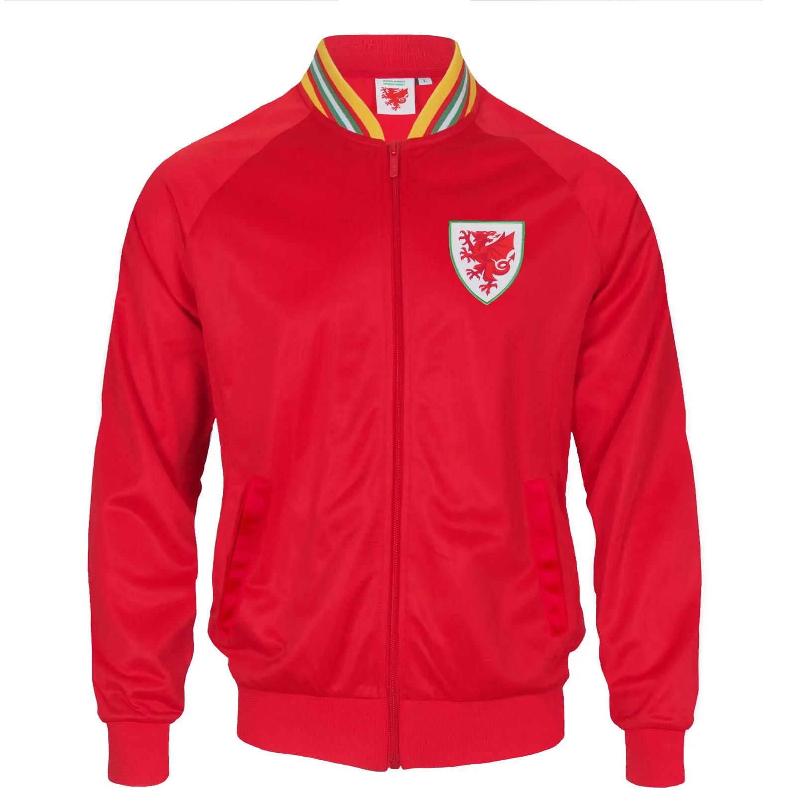 FA WALES picture