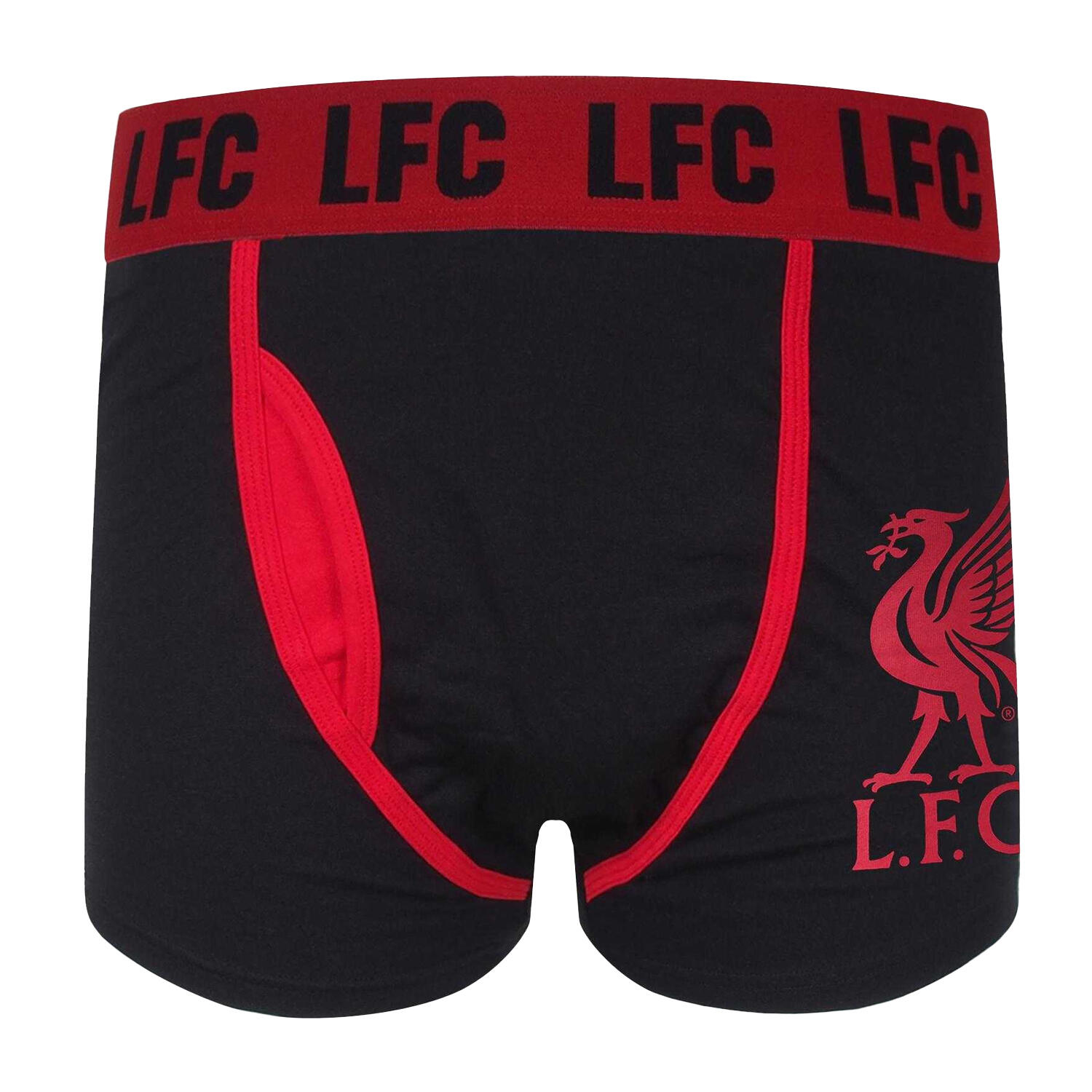 LIVERPOOL FC picture