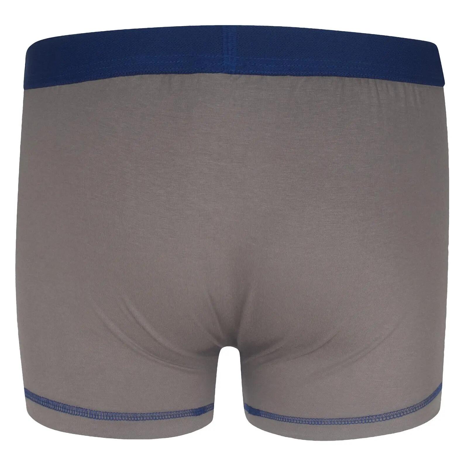 Boxershorts für Jungen Blau 2/4