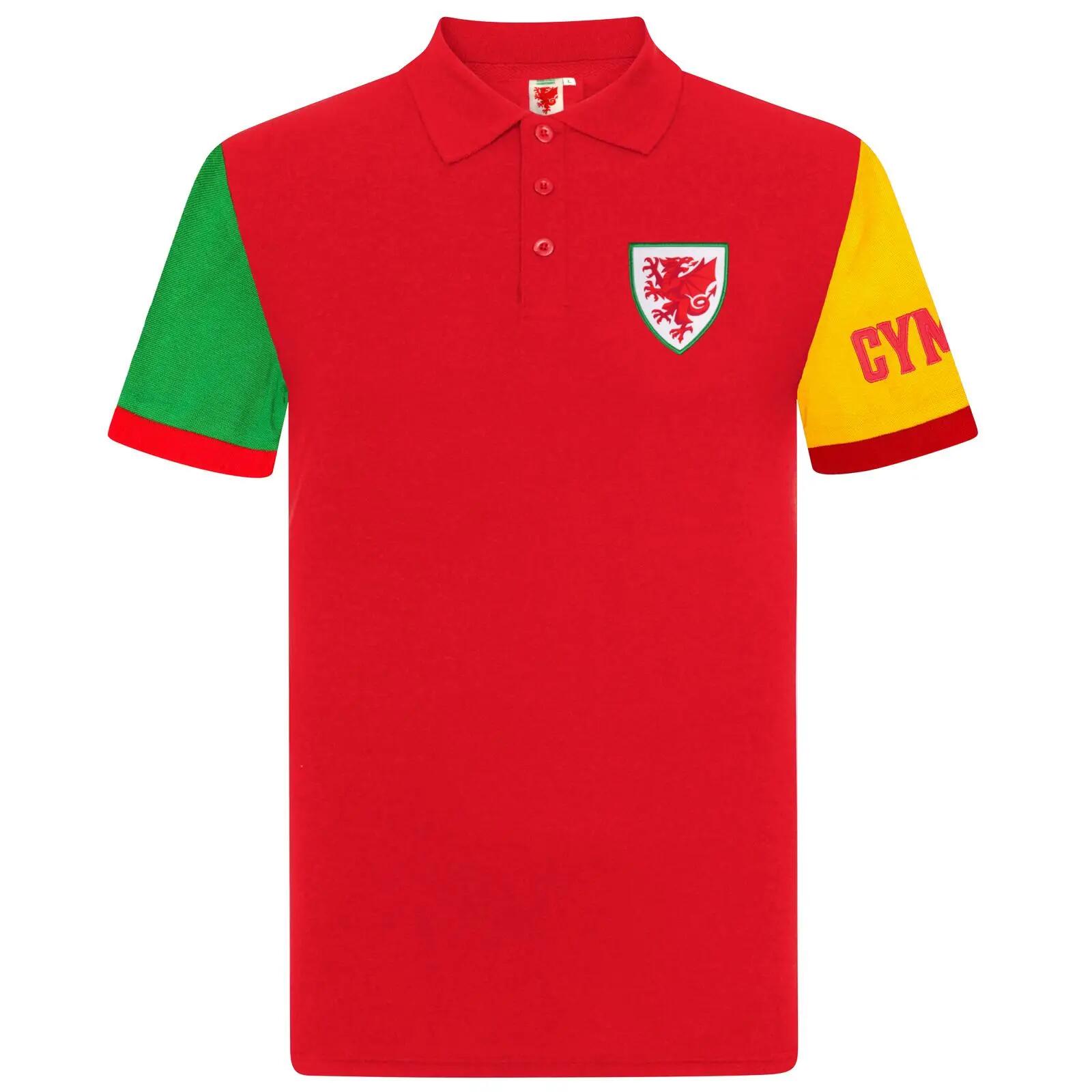 FA WALES picture