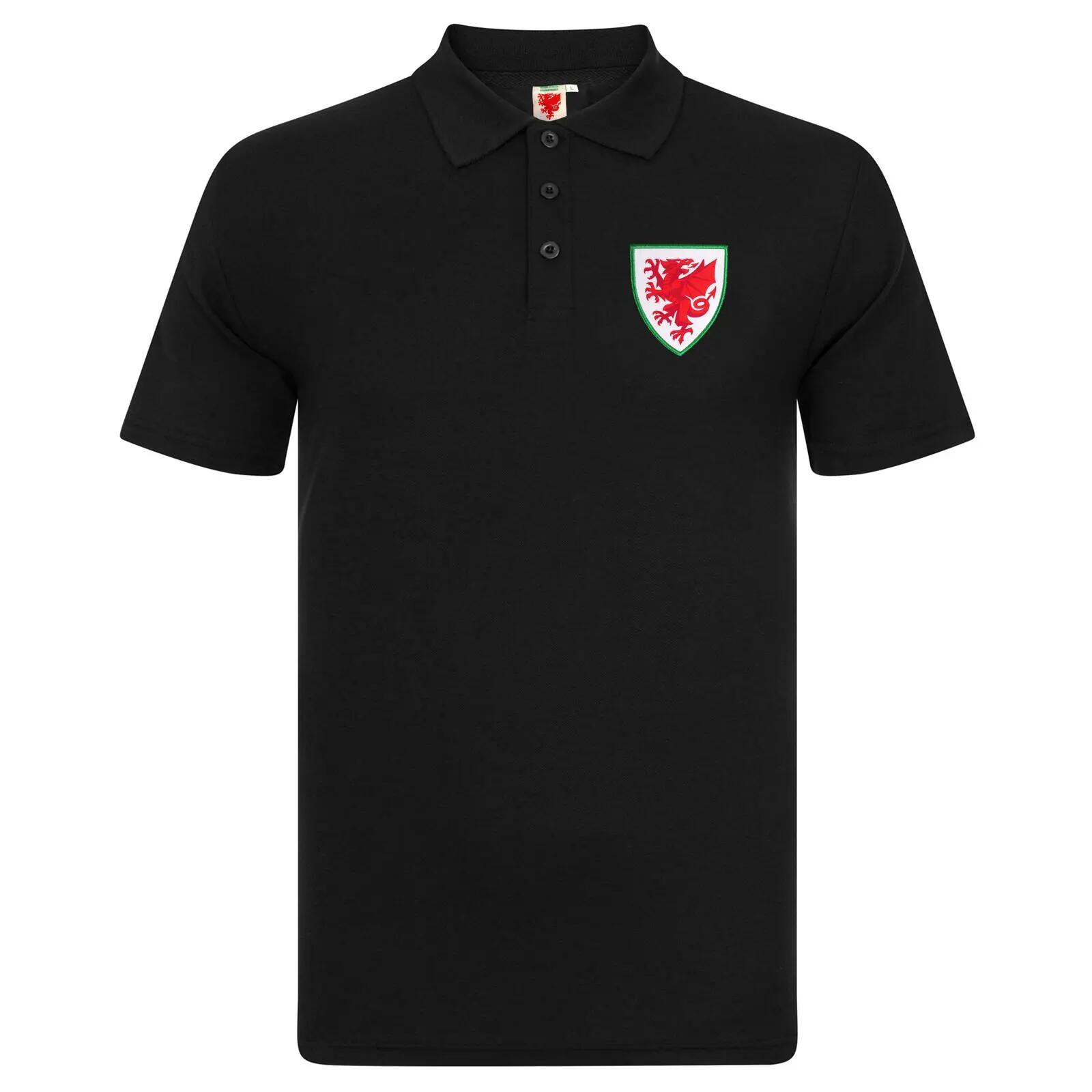 FA WALES picture