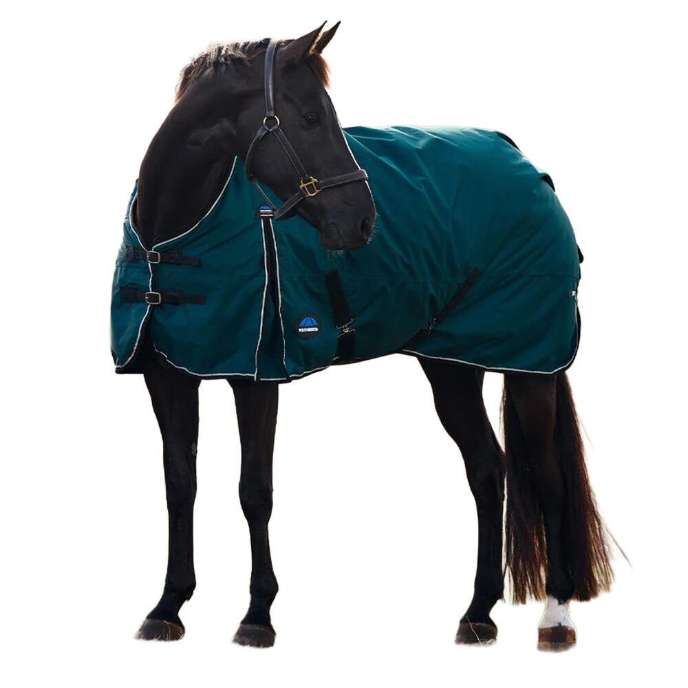 "Comfitec Classic" Standard 50 g Pferdedecke Damen und Herren Tannengrün/Schwarz 3/3