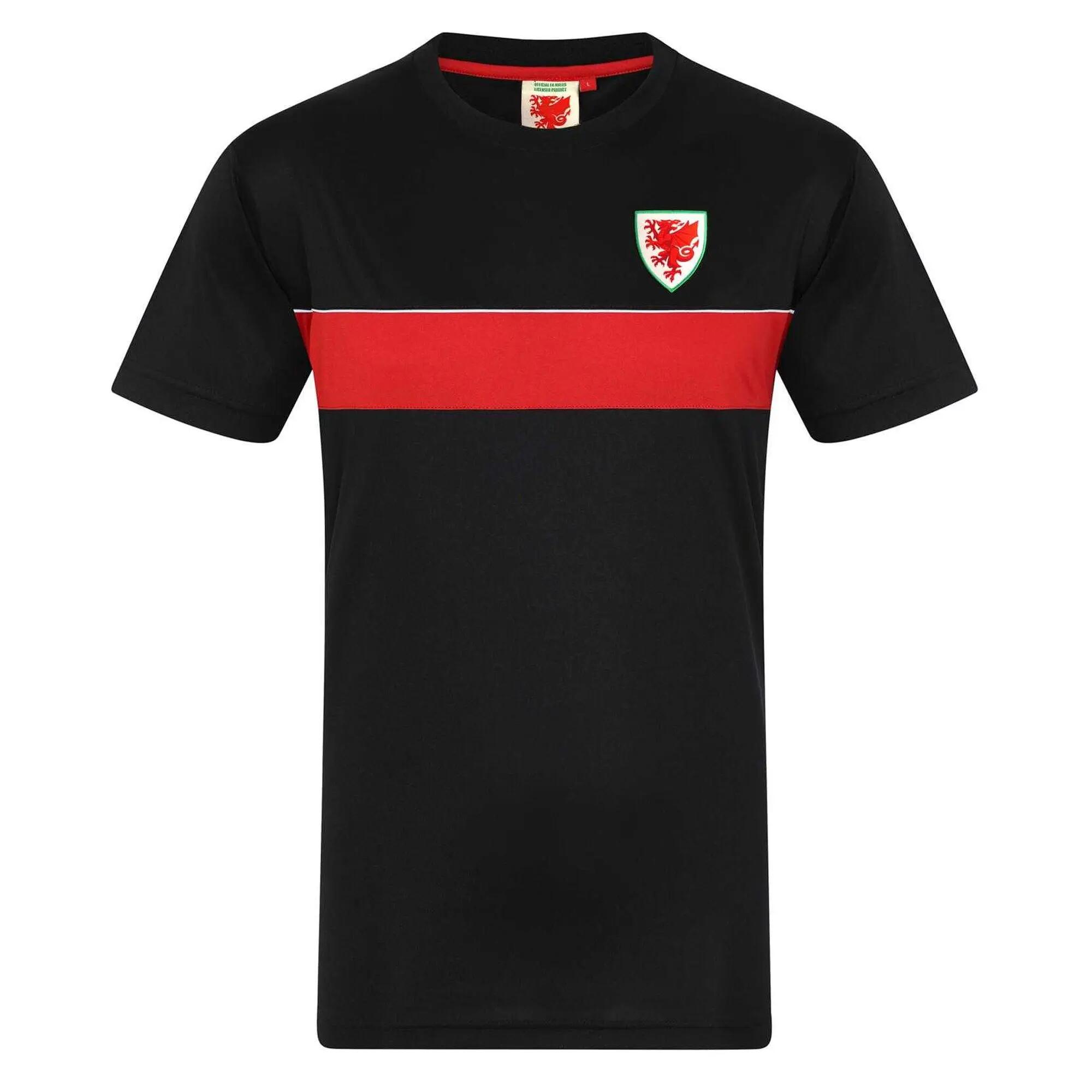 FA WALES picture