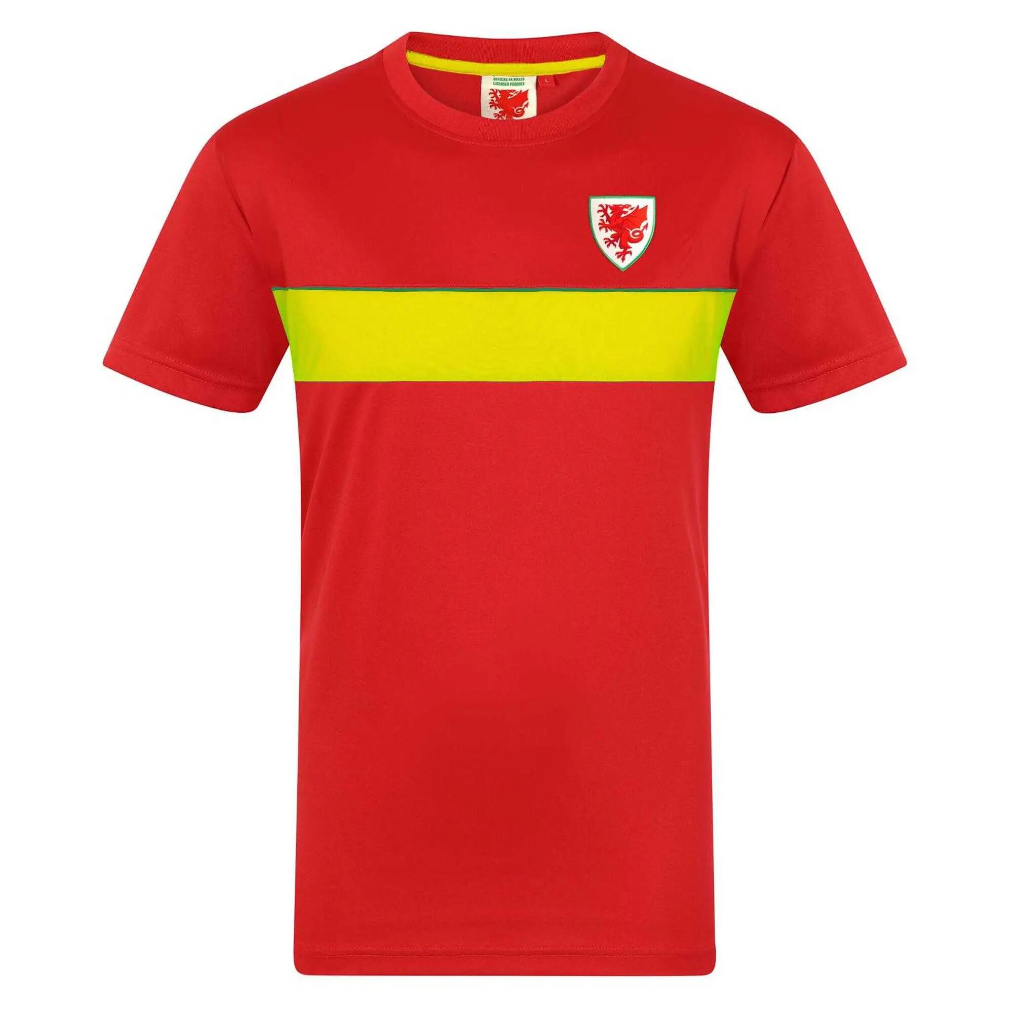 FA WALES picture