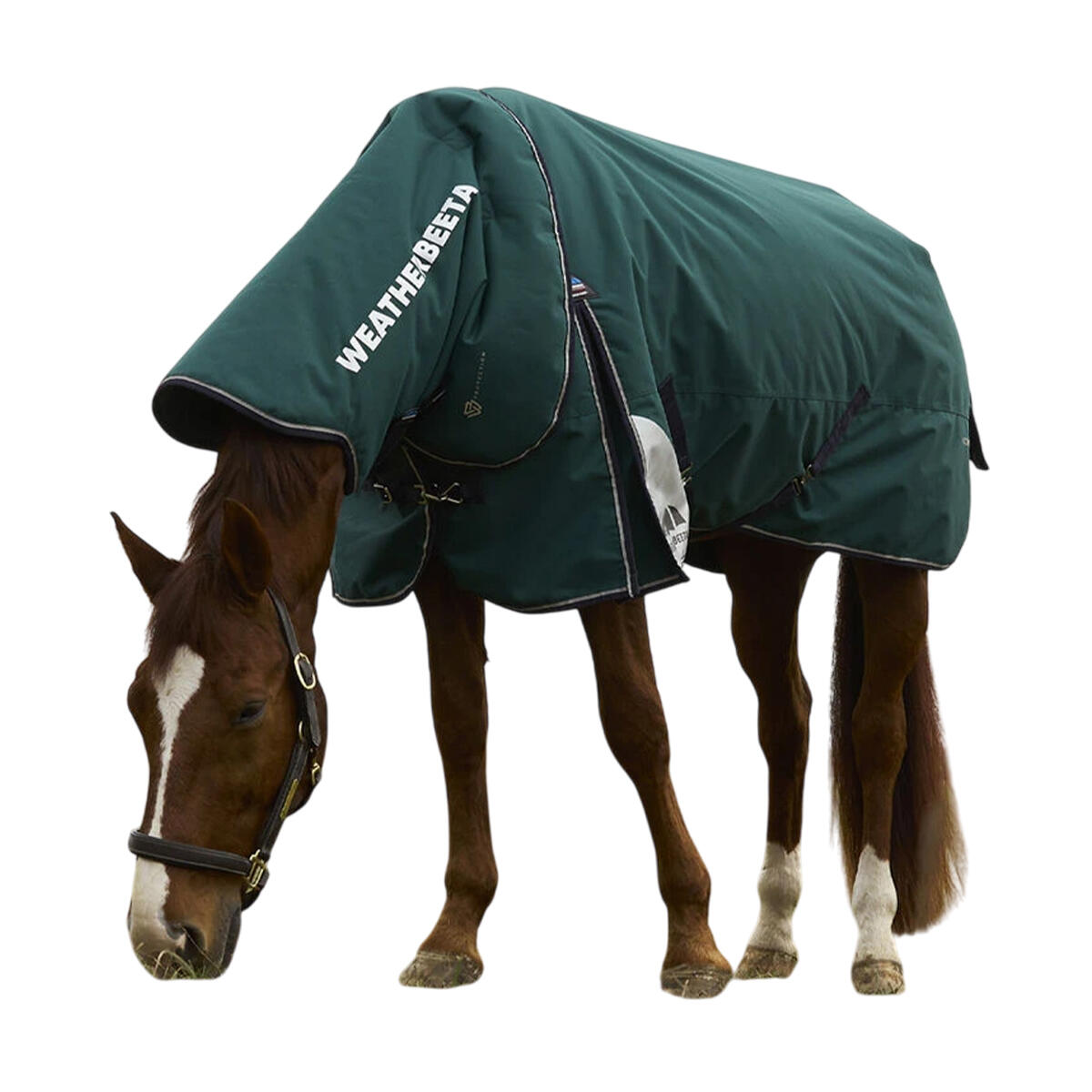 Comfitec Plus Dynamic Detachable Neck Logo 100g Horse Turnout Rug (Forest 3/3