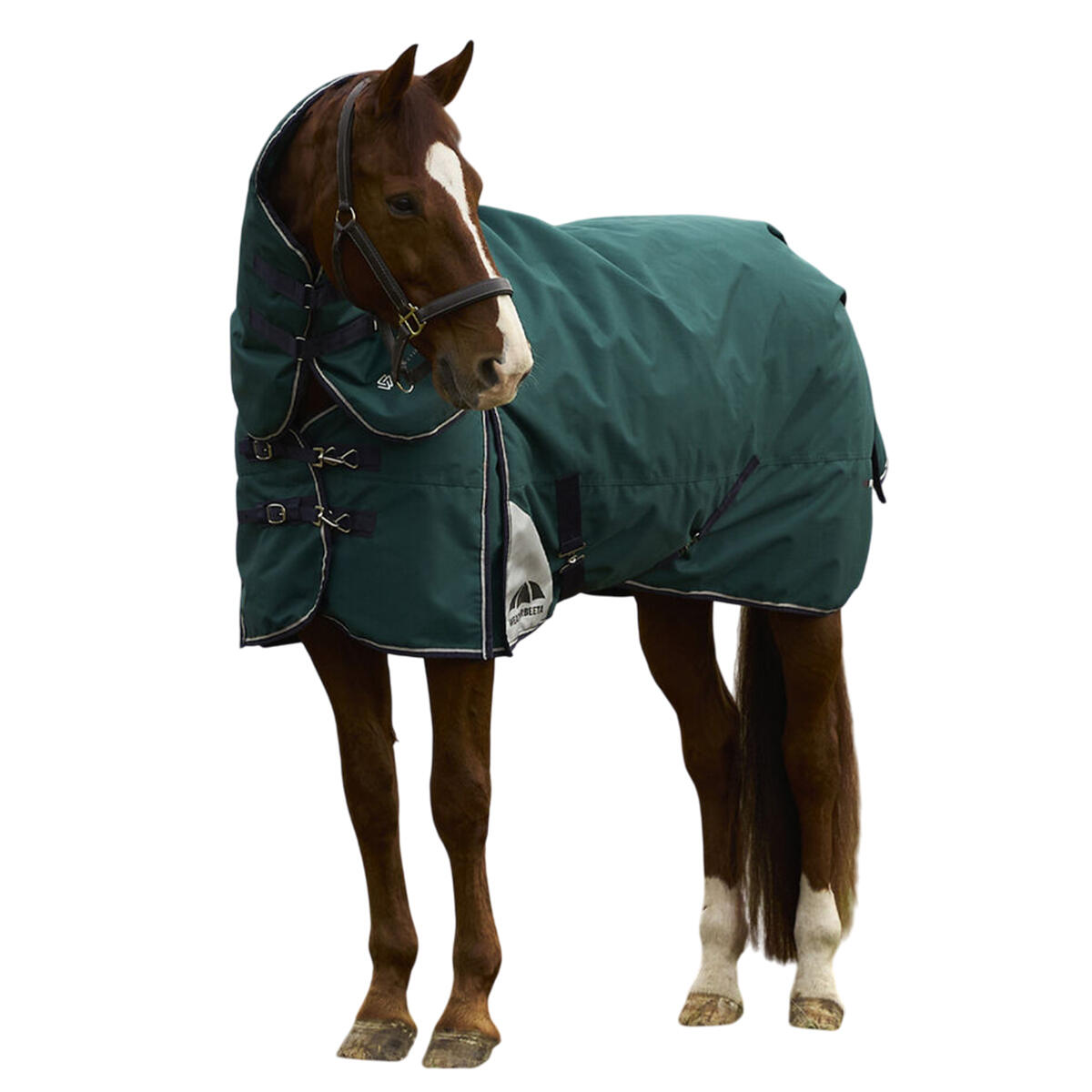 Comfitec Plus Dynamic Detachable Neck Logo 100g Horse Turnout Rug (Forest 2/3