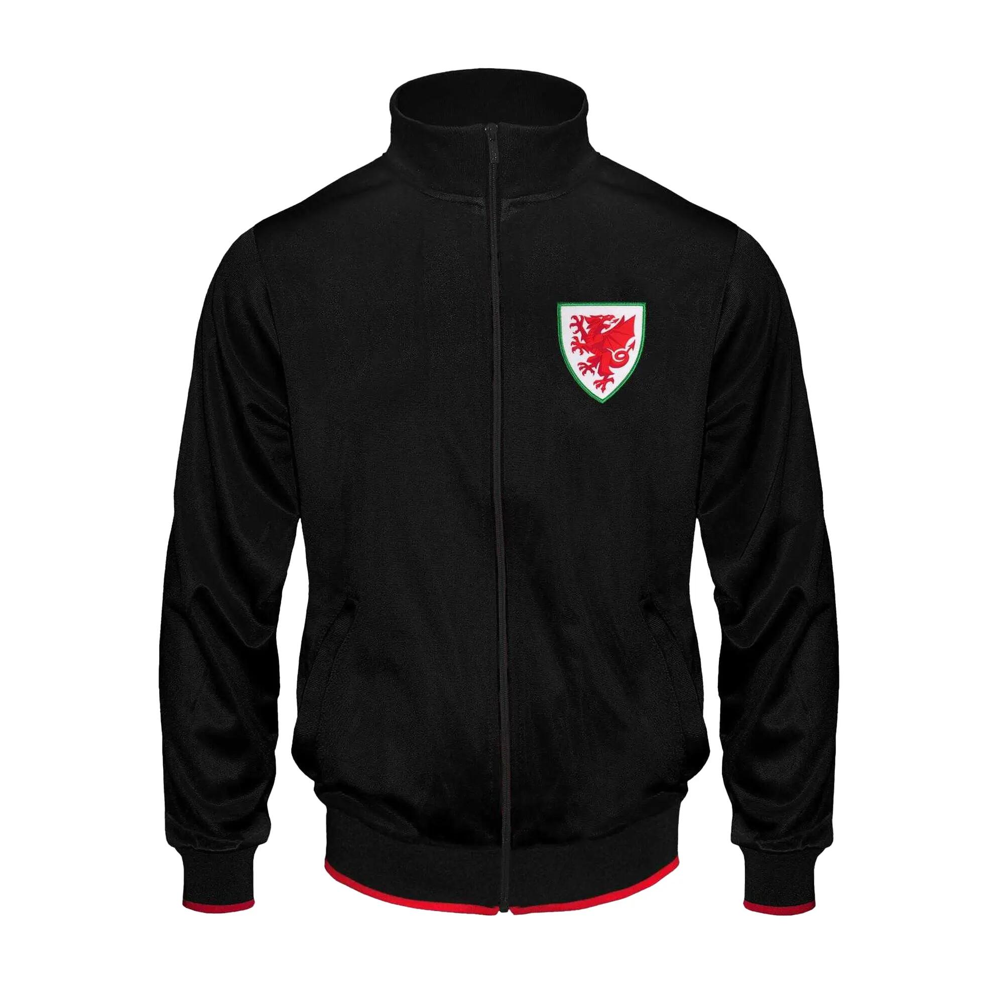 FA WALES picture