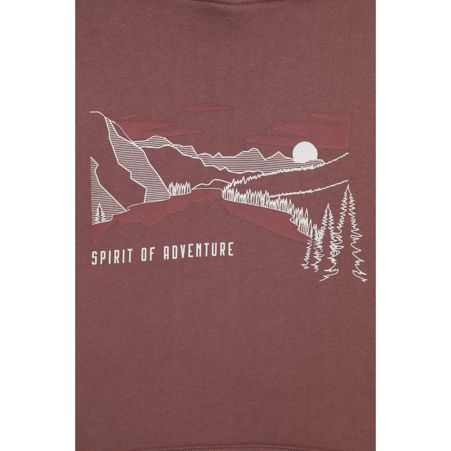 Felpa Con Cappuccio Uomo Mountain Warehouse Spirit Of Adventure Marrone 4/4