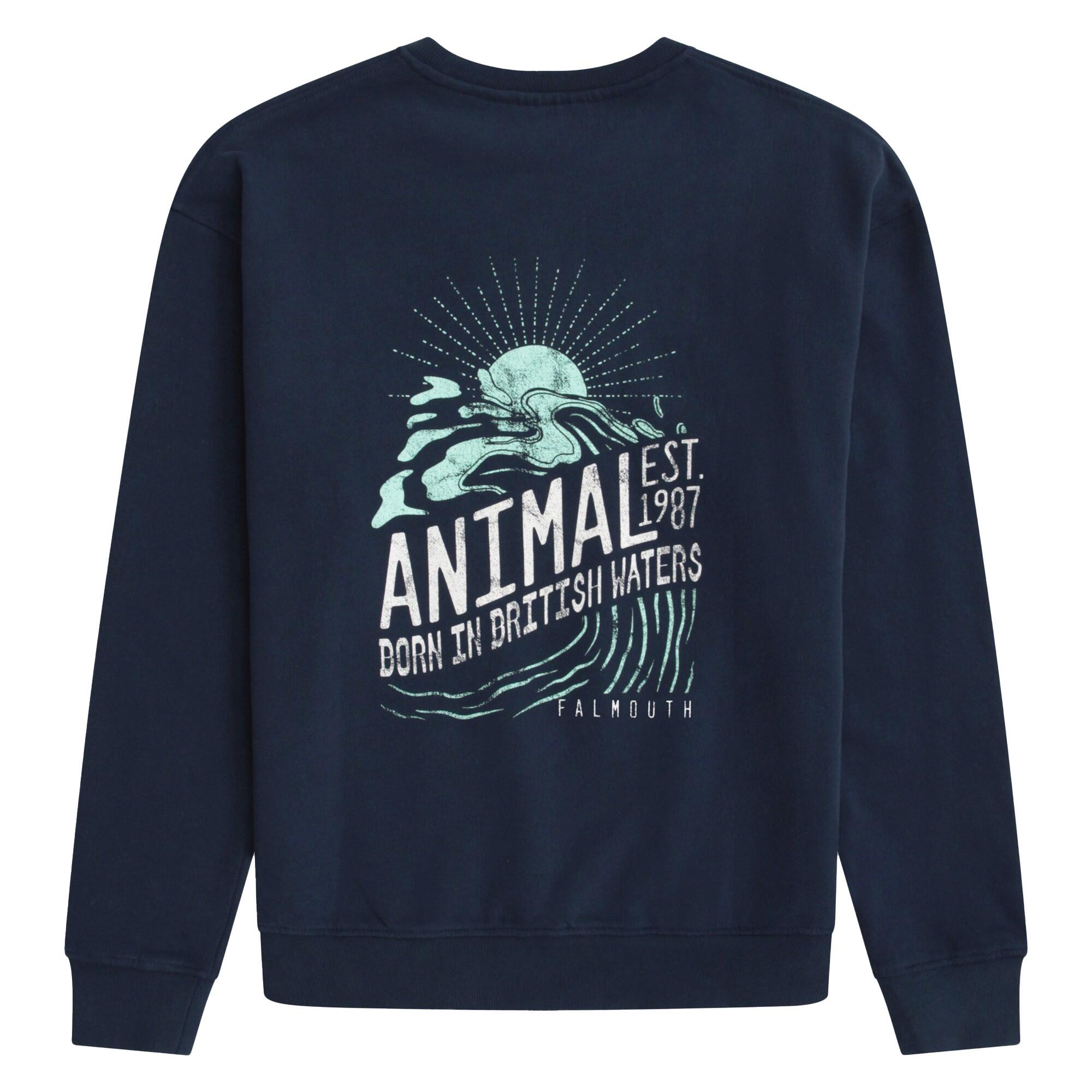Sweat JONAH FALMOUTH Homme (Bleu Marine) 2/4