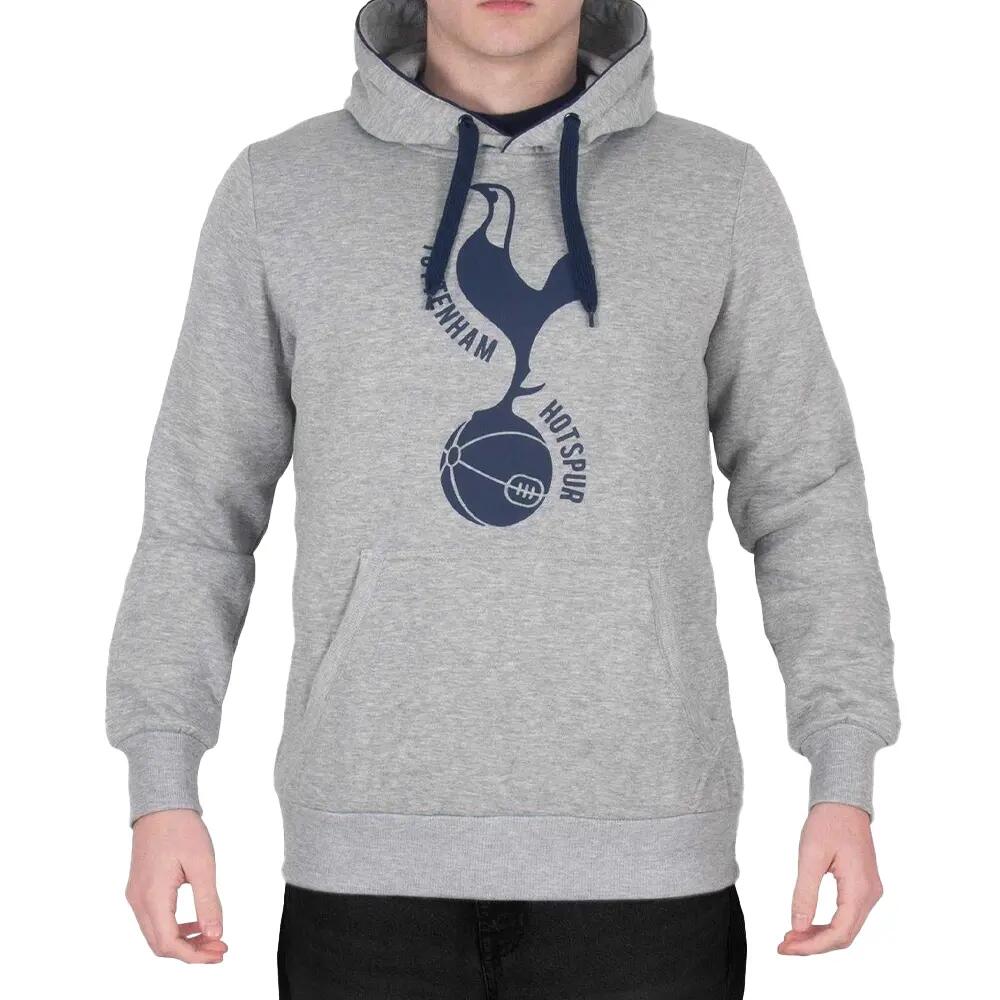 TOTTENHAM HOTSPUR picture