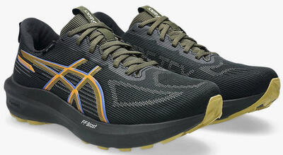 Scarpe da Running Uomo Asics GT-1000 14 GTX