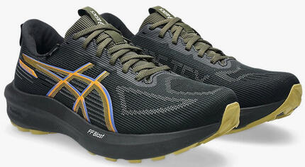 Asics Gt-1000 14 Gtx Laufschuhe Erwachsene