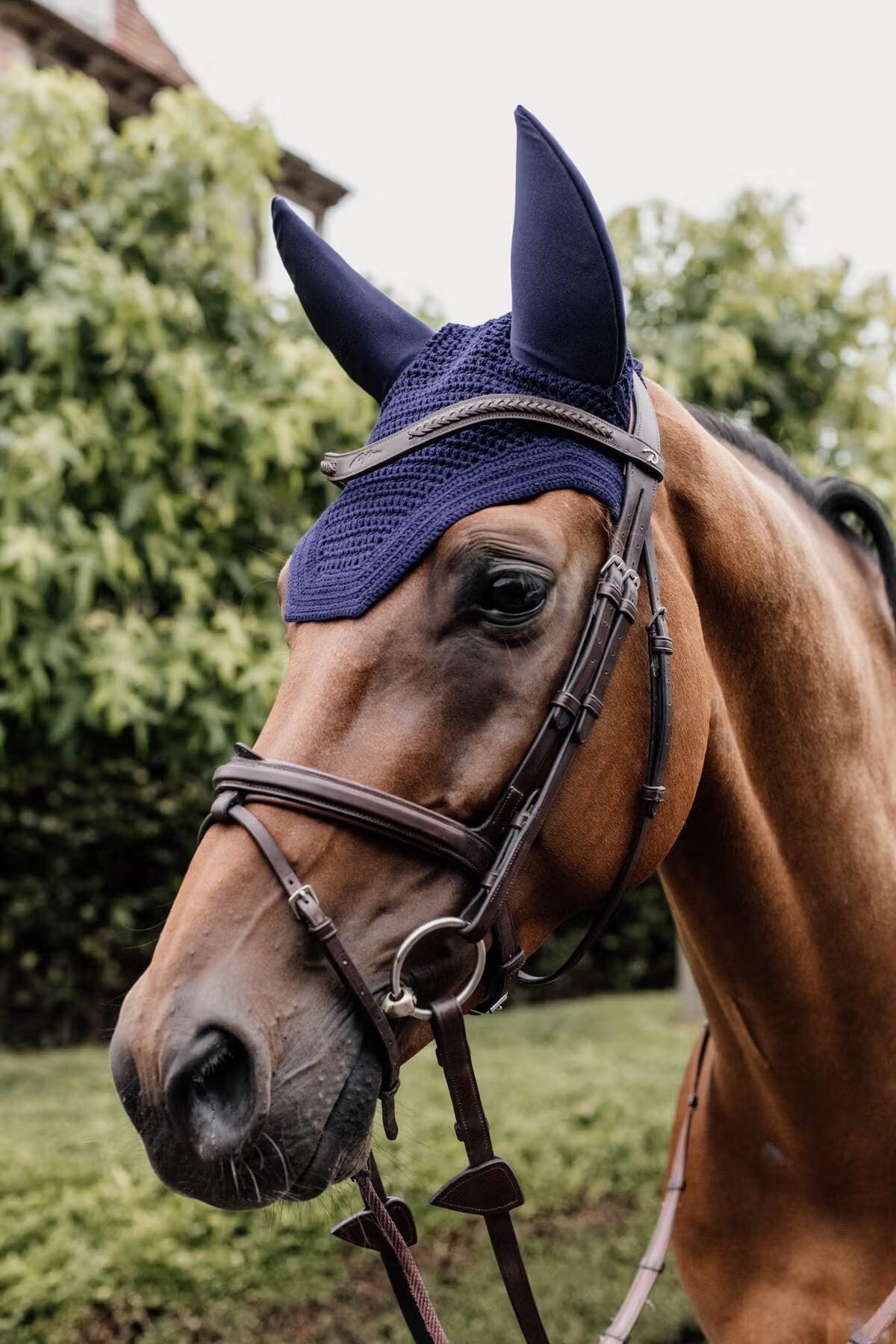 Bonnet anti-mouche Wellington noir Cob 5/7