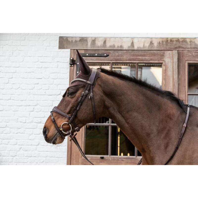 Kentucky Oornetje Wellington Grijs -