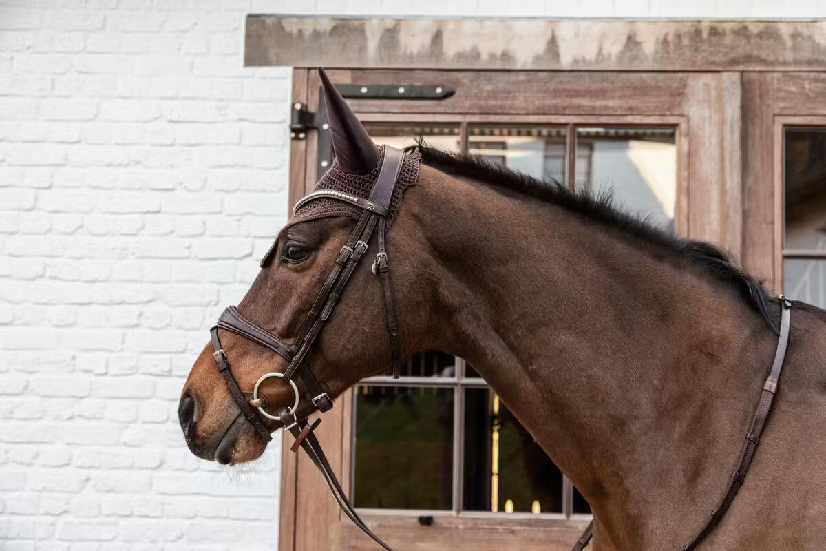 Bonnet anti-mouche Wellington noir Cob 7/7