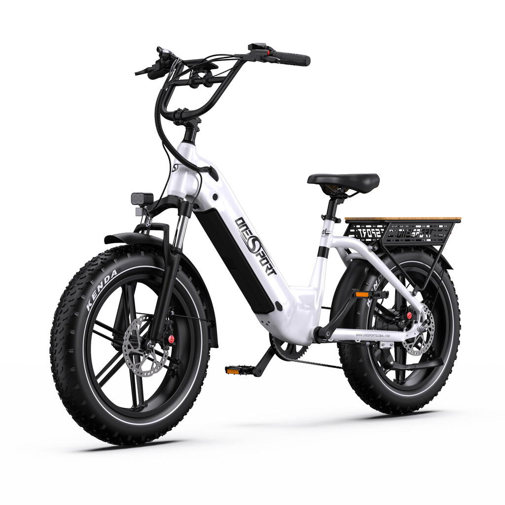 Electric Bike OT08 48V 18Ah Battery 20 inch All-Terrain Fat Tires